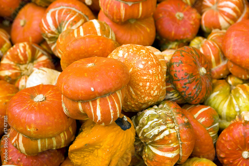 Sagra della zucca di Piozzo (Cn)