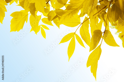 Yellow frame over blue