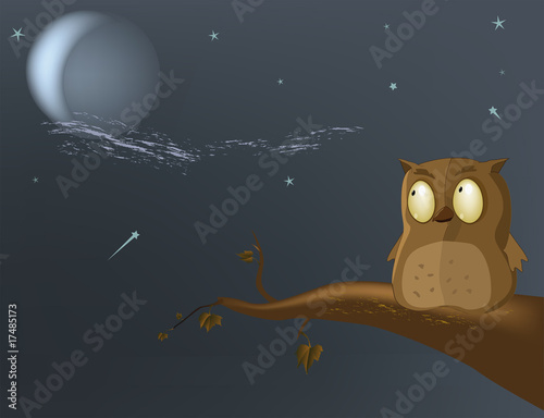 owl the moon a tree night