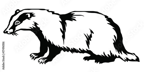 badger