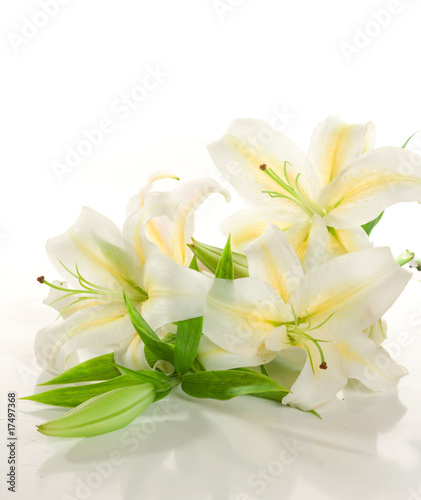 a fragment of white lilies ' bunch on a white background