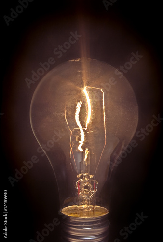 Light Bulb on Black