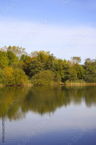 water side trees in autumn