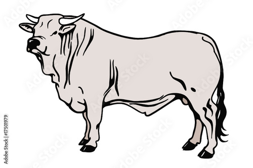 toro
