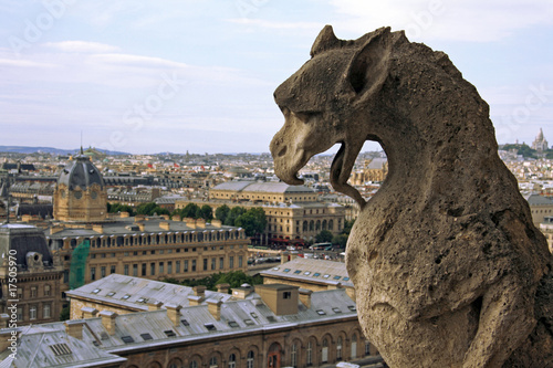 Monster watching on Paris from Notre Dame