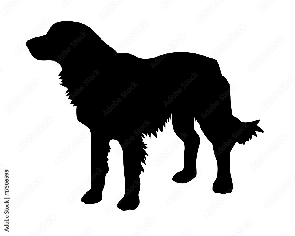 illustration of the rambling dog on white background