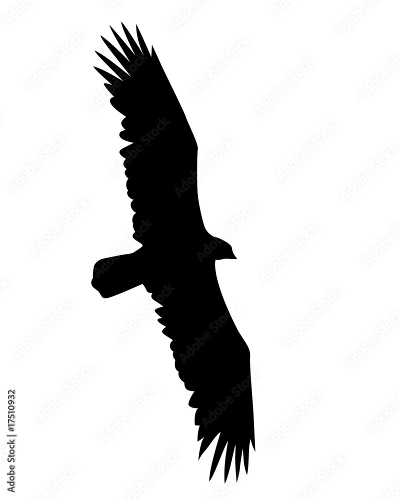 Obraz premium illustration flying birds on white background
