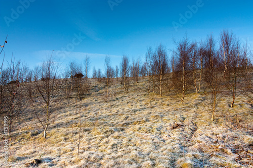 Stargate Pond in winter photo