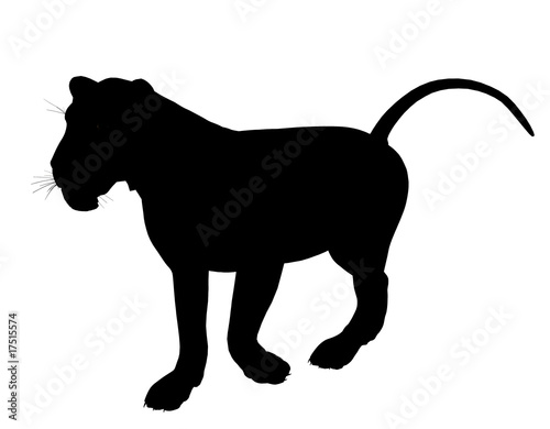 Lion Illustration Silhouette