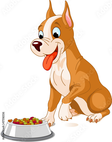 Hungry dog