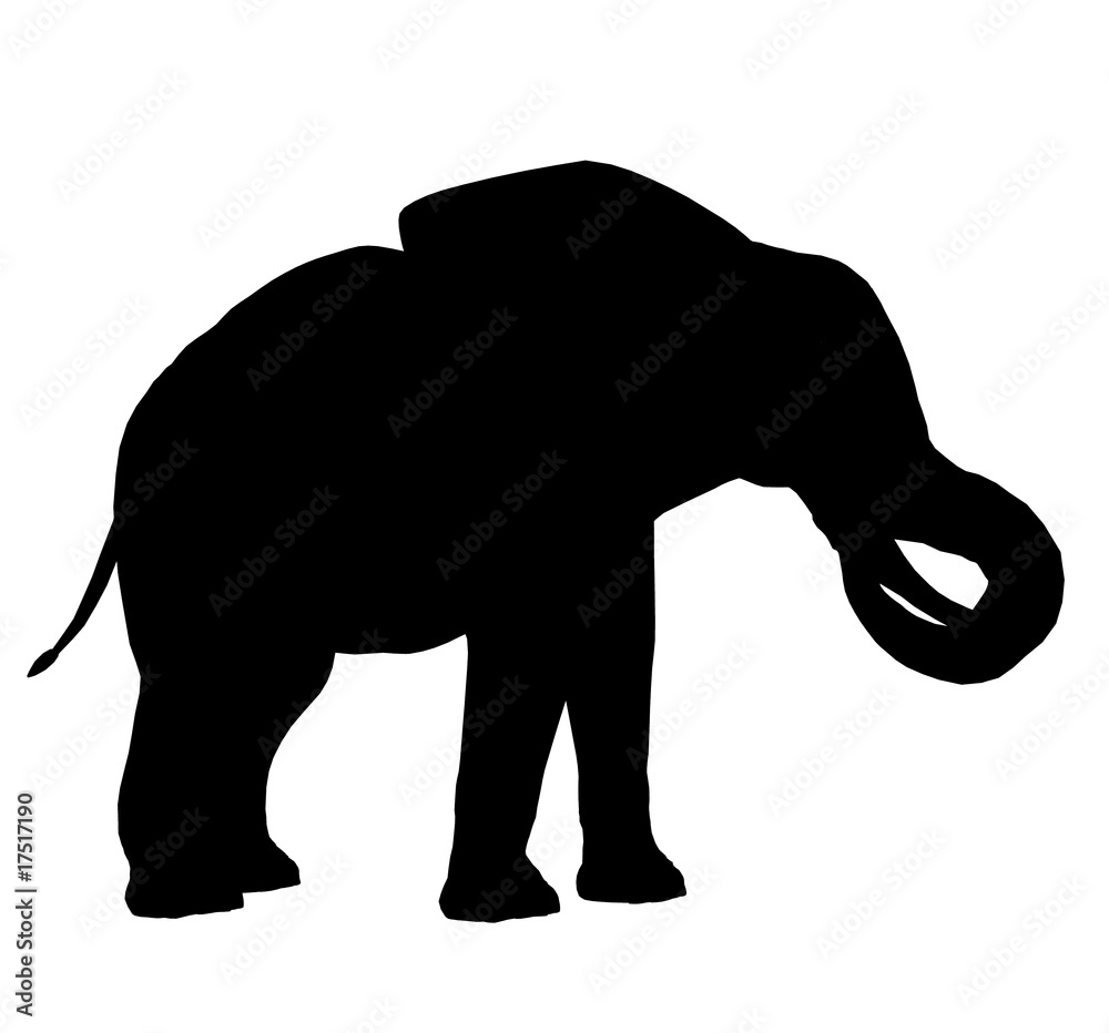 Obraz premium Elephant Illustration Silhouette