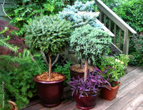 pot garden