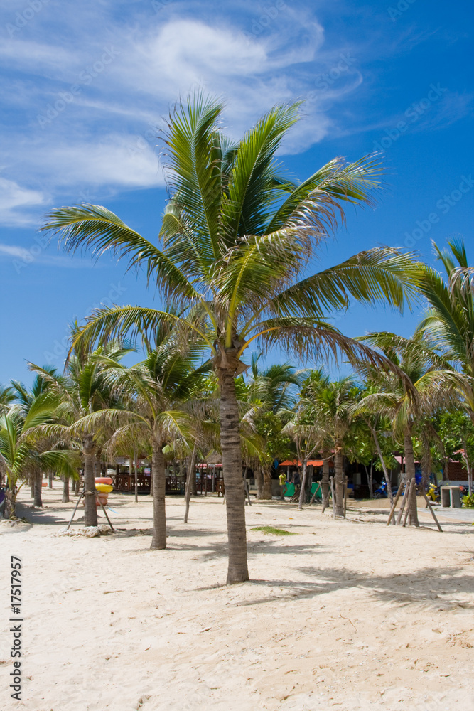 Beach on a sunny day.Pattaya city in Thailand Beach on a sunny day.Pattaya city in Thailand
