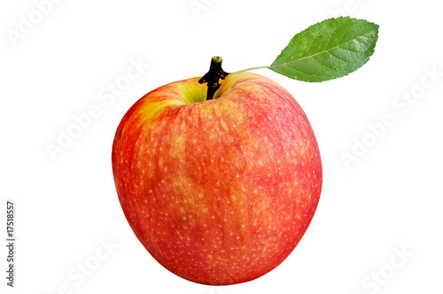 Fresh apple