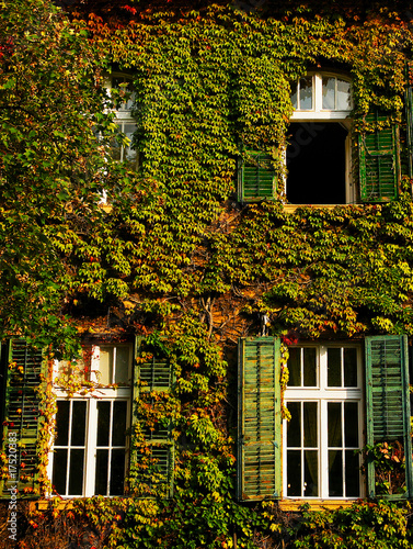 Windows