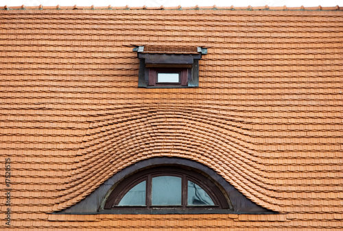 Canvas Print roof