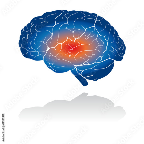 Picto du système verveux : le cerveau photo