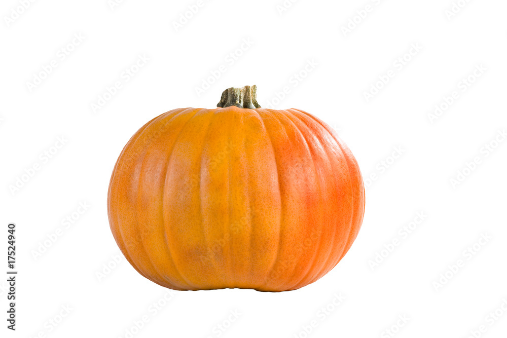 Obraz premium Pumpkin