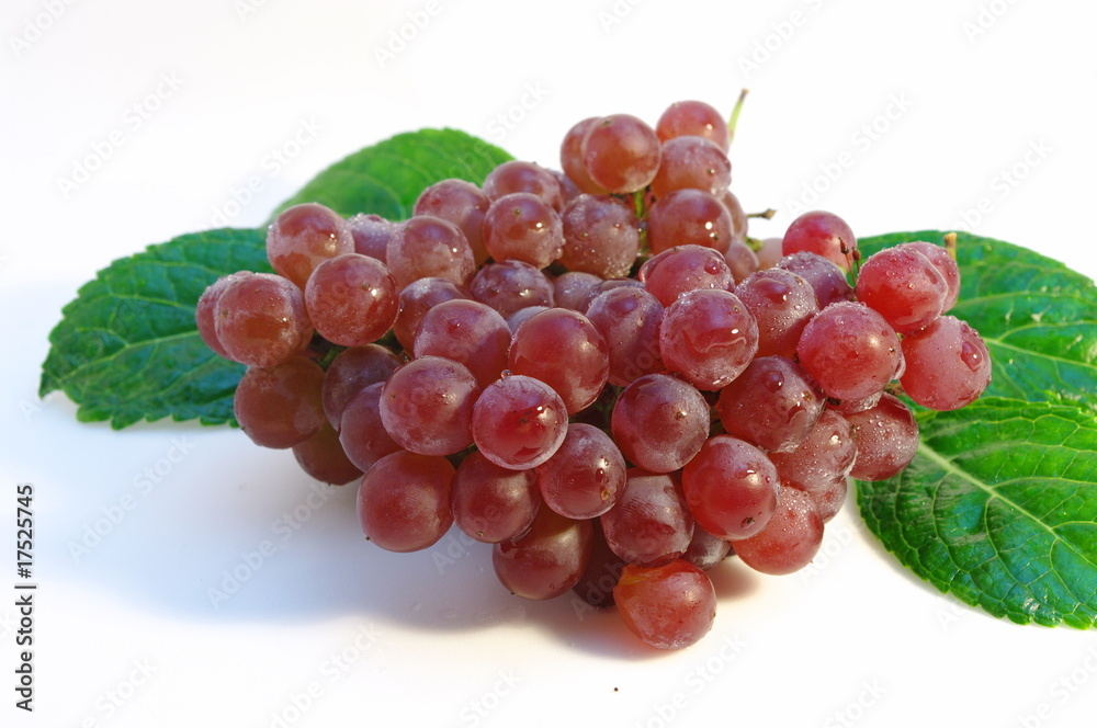 Fototapeta premium 日本代表