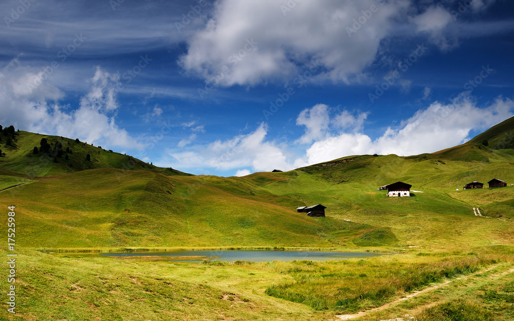 Fototapeta premium Alpe Cisles, Dolomiti, Alpi