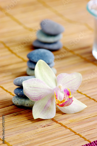 spa concept with orchids and stones on wet wooden background