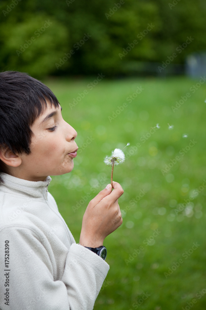 boy and dandelion parachutes