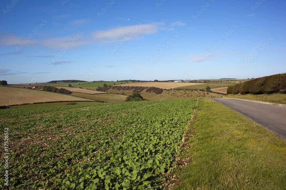 agricultural landscape 3