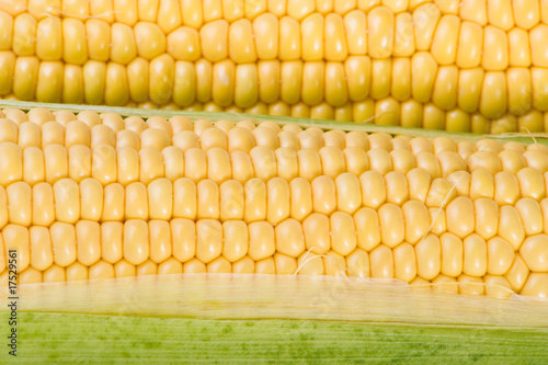 yellow corns background