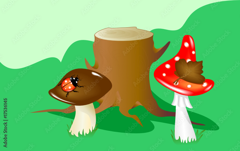 Fototapeta premium mushrooms