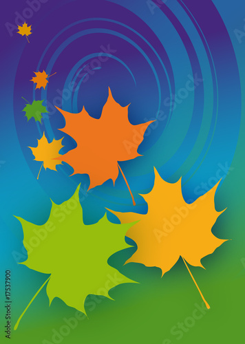 Ahornblätter, Herbst, Vektorgrafik