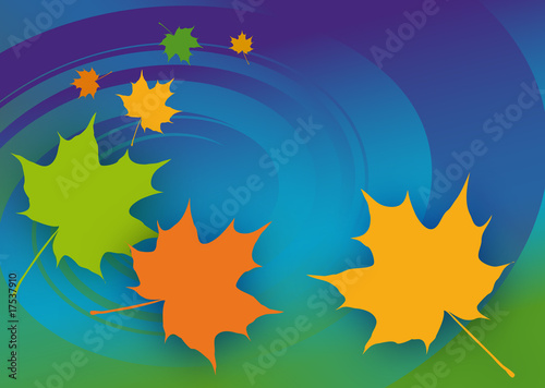 Ahornblätter, Herbst, Vektorgrafik