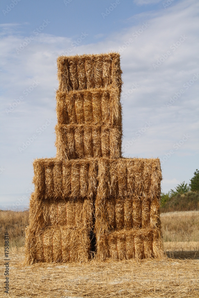 Foto de Pacas de paja en un campo de trigo. do Stock