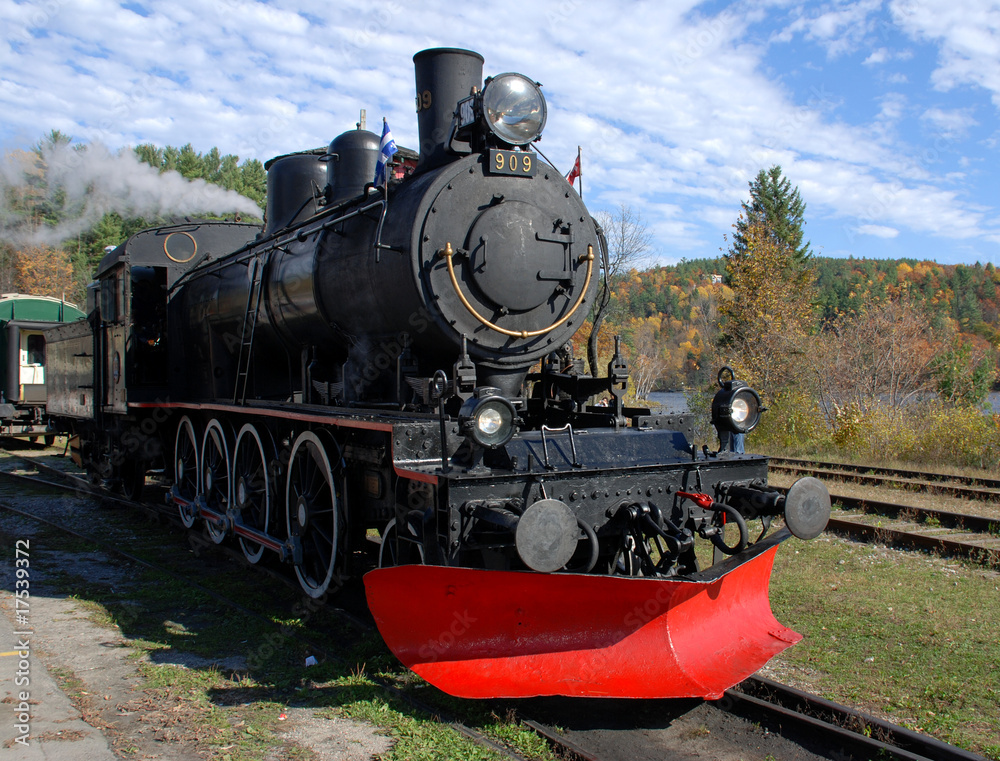 Naklejka premium Vintage steam train in an Autumn country setting