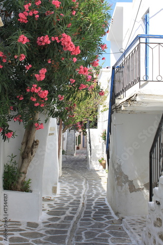 Ruelle à Paros - Cyclades - Grèce