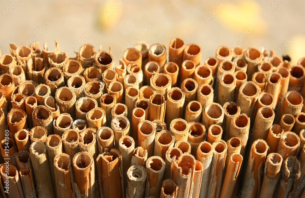 Close up view of a bundle of reed thatch - obrazy, fototapety, plakaty 