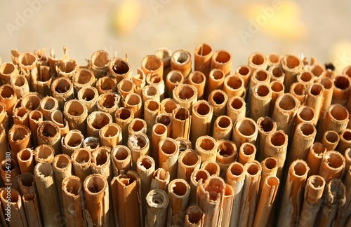 Close up view of a bundle of reed thatch photo