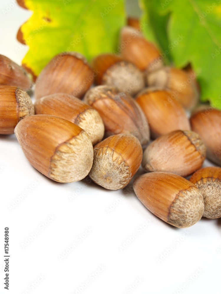 Hazelnuts with green leaves on background Hazelnuts with green leaves on background