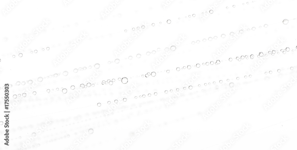 Water on spider web against white background, studio shot Water on spider web against white background, studio shot