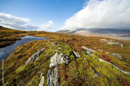 Norwegian landscape