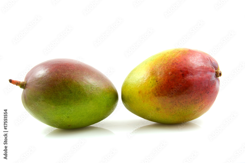 Two fresh mango fruit over white background Two fresh mango fruit over white background