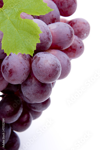 Rote Weintrauben