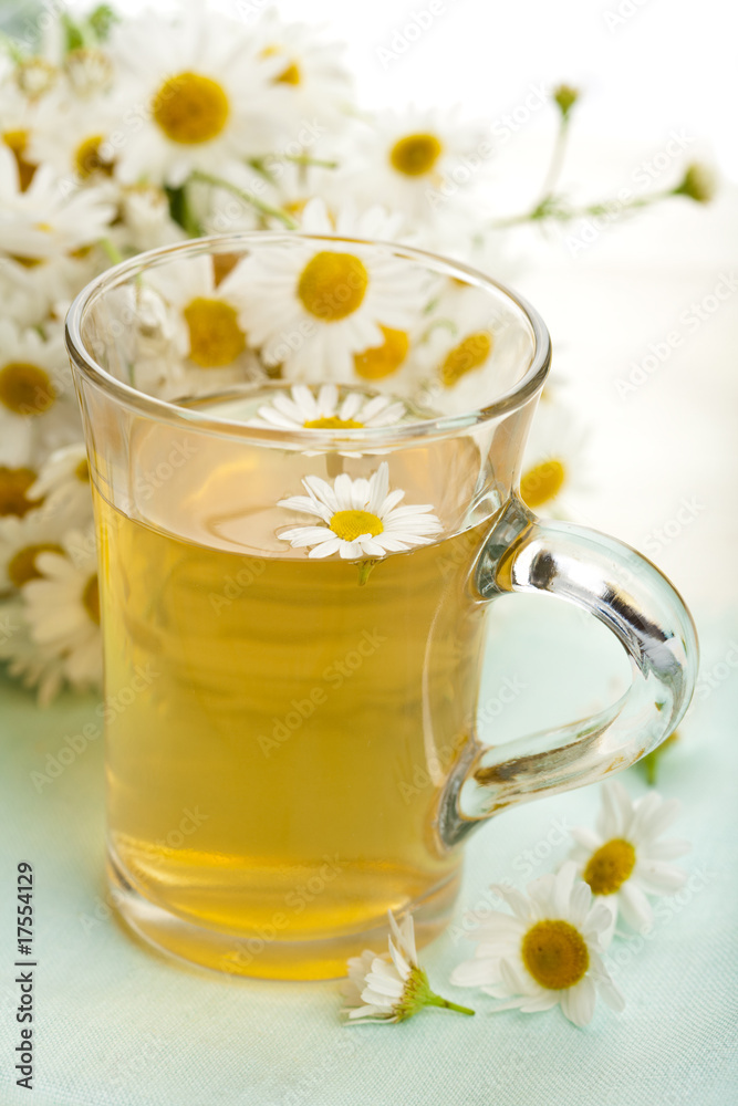 cup of herbal tea with camomile flowers cup of herbal tea with camomile flowers