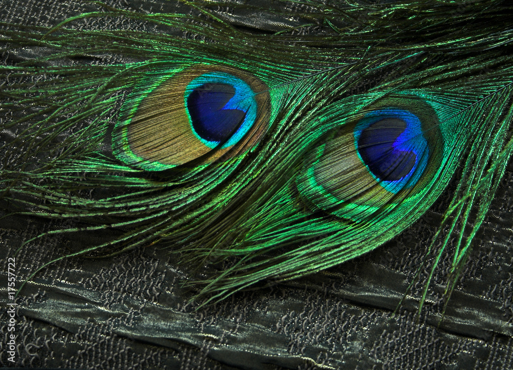 Fototapeta premium fabric and peacock feathers
