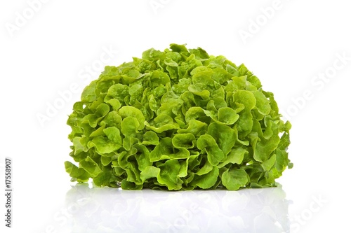 eichblatt salat grün