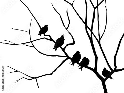 migrating starling on branch tree