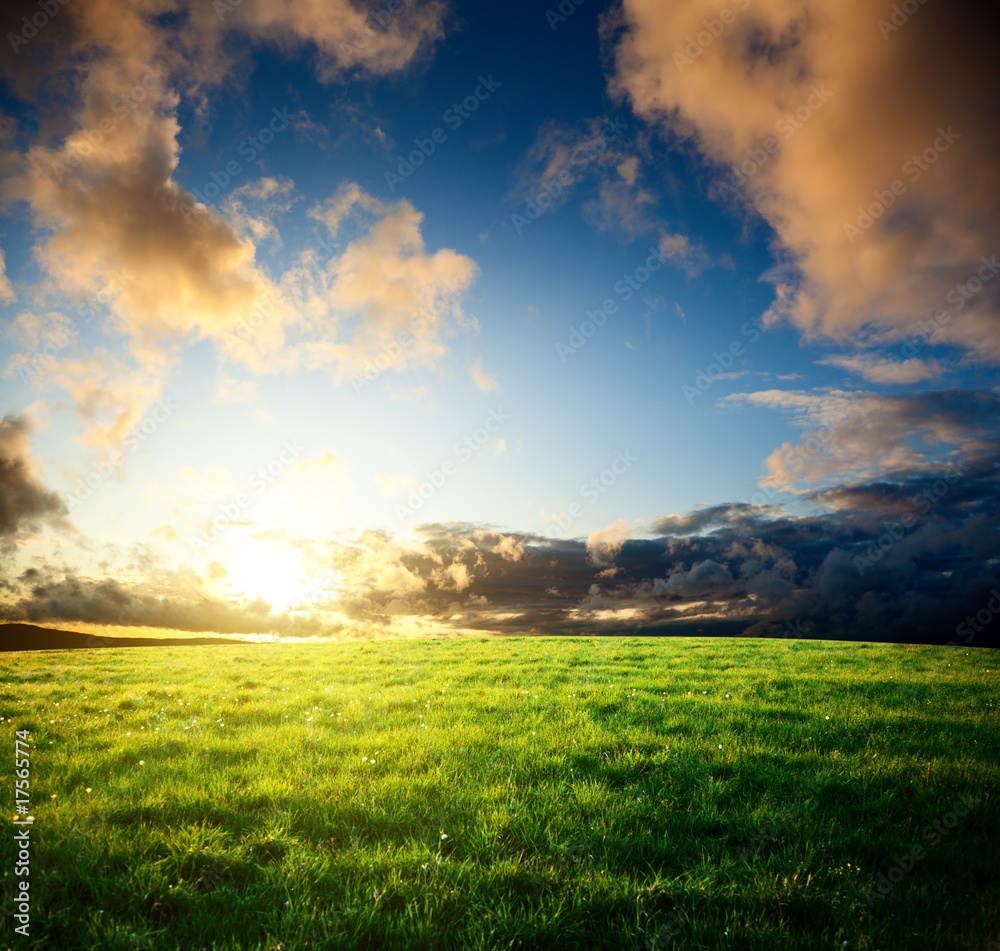 field of spring grass and sunset field of spring grass and sunset