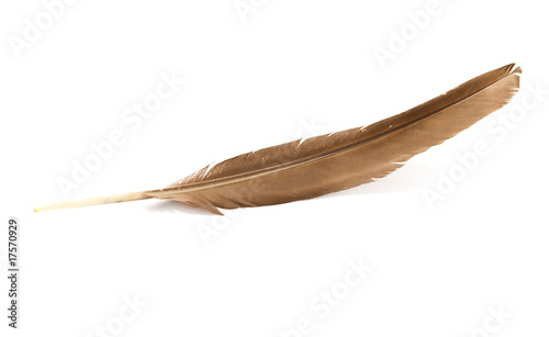 feather