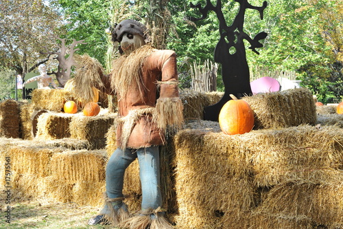 Halloween et le géant