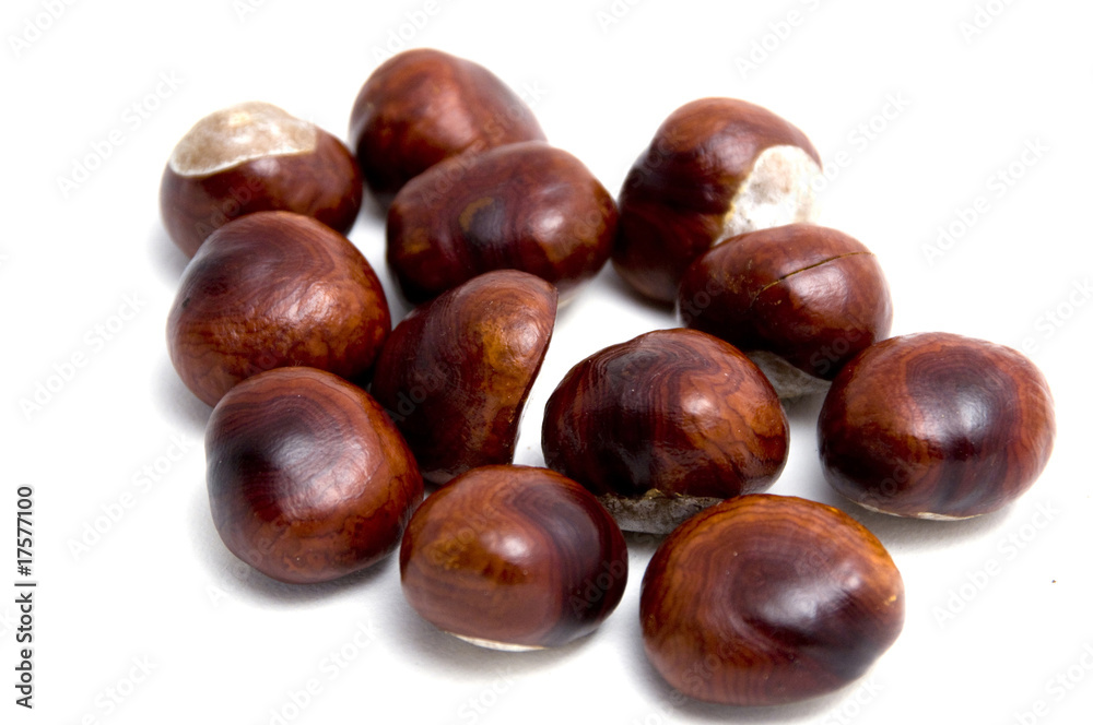 Horse chestnut, buck-eye (Aesculus hippocastanum), fruit, isolat Horse chestnut, buck-eye (Aesculus hippocastanum), fruit, isolat