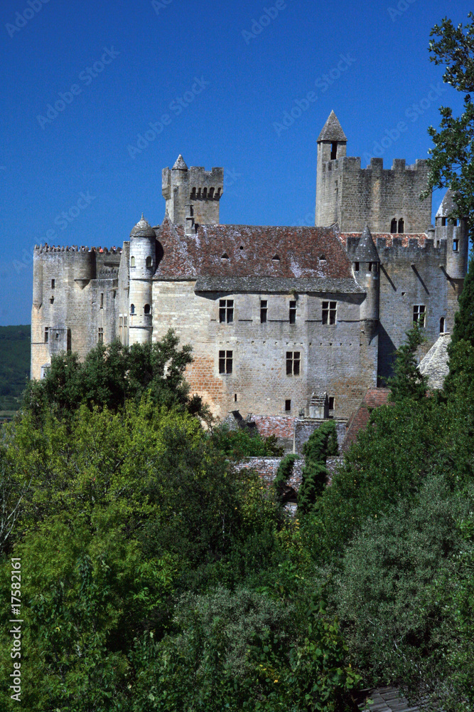 Château de Beynac extérieur vertical